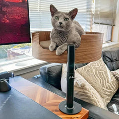 Desk Nest Cat Bed supports up to 25 lbs for stable, secure resting.