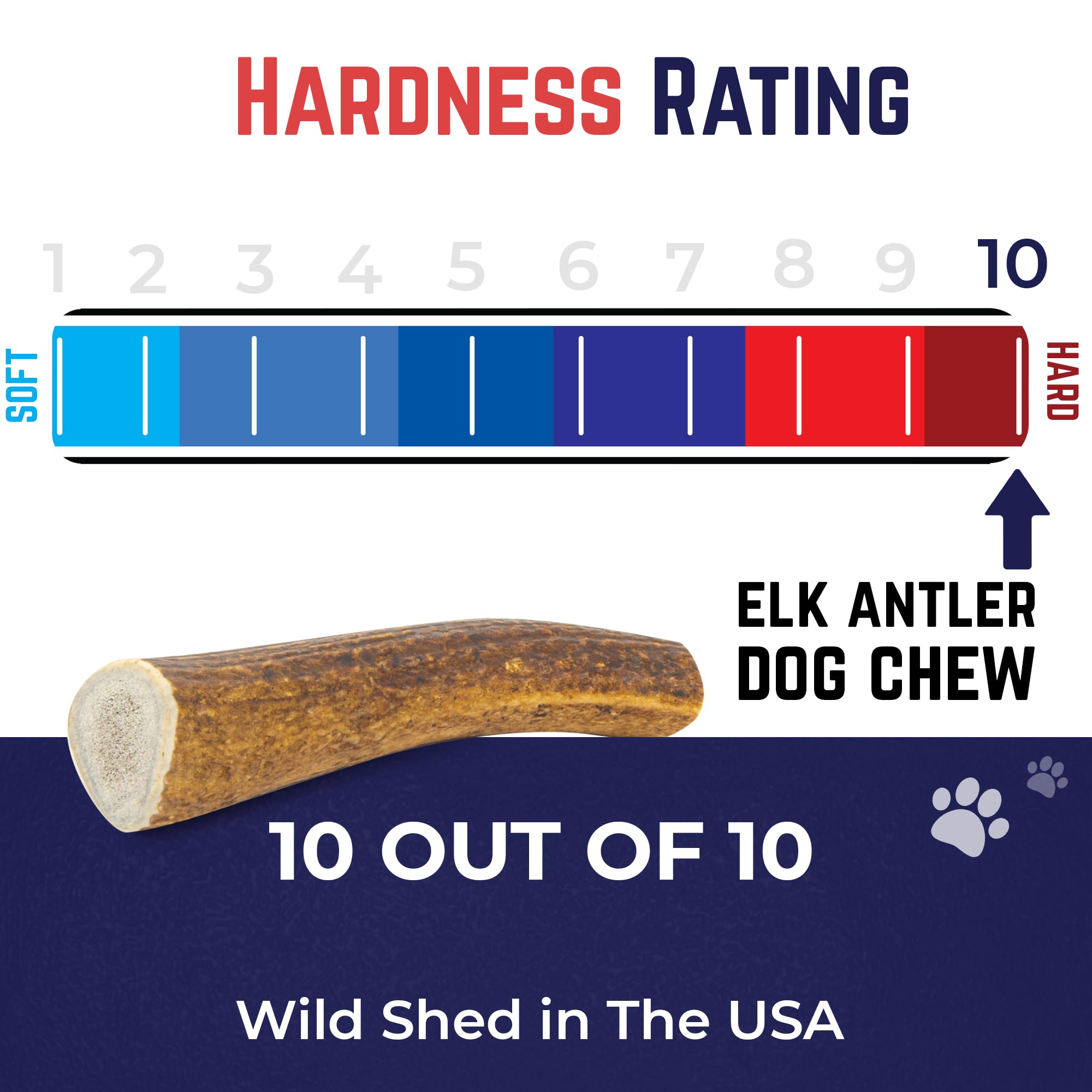 Devil Dog Elk Antler Ethical Sourcing aligns with conservation and humane collection.