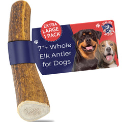 Devil Dog Elk Antler Extra Large 7in Pack ideal for long-lasting chew for aggressive chewers.