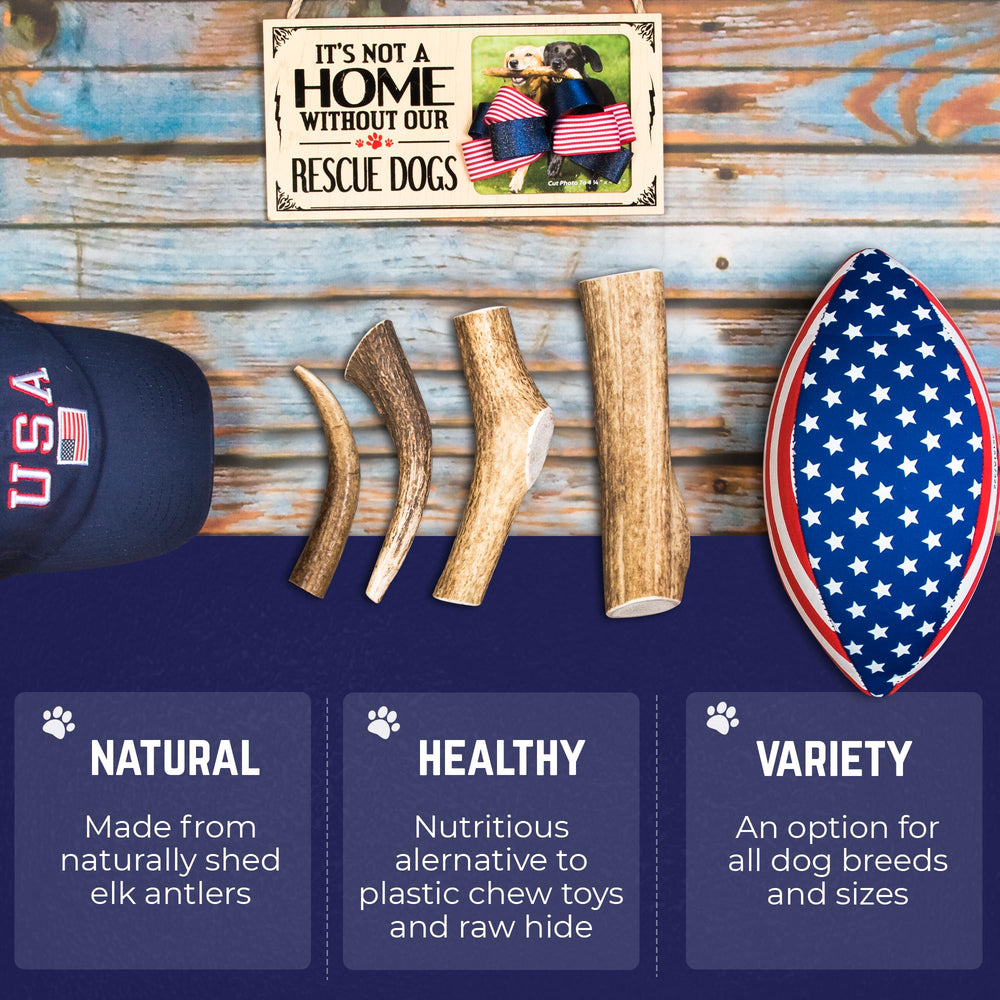 Devil Dog Elk Antler No Odor displays clean, odor-free chewing option.