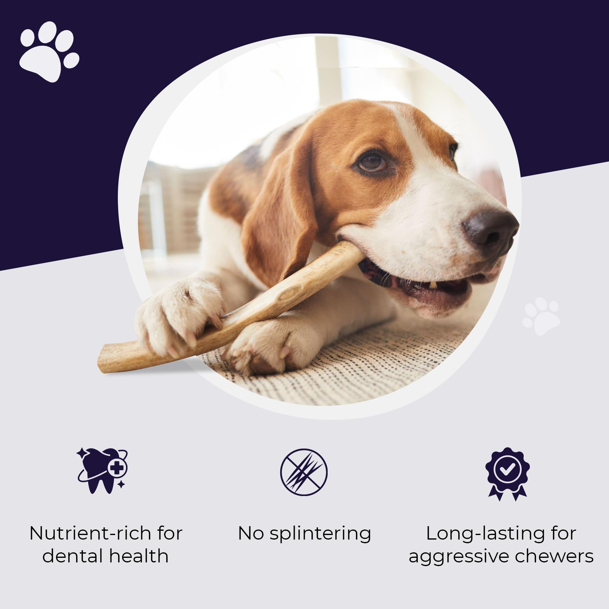 Devil Dog Elk Antler packaging image indicates ready-to-use durable chew.