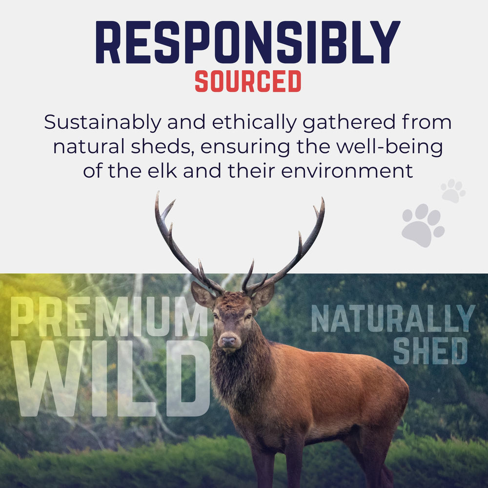 Devil Dog Elk Antler USA-shed origin underscores ethical sourcing.