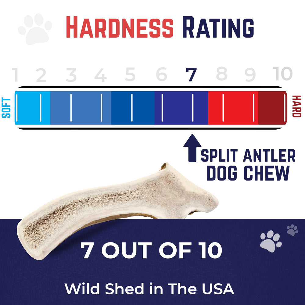 Devil Dog Elk Antler USA shed sourcing emphasizes natural origin