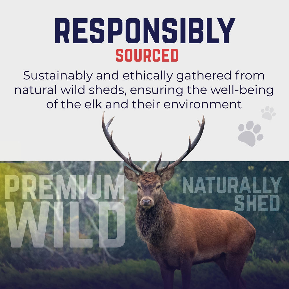 Devil Dog Ethically Sourced Elk Antler—shaped by nature, collected with respect