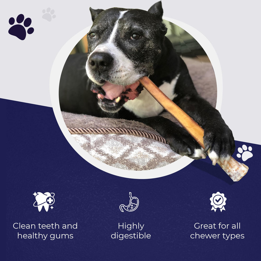 Devil Dog Jumbo Bully Sticks 12inch pack provides highly digestible protein for healthy energy.