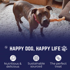 Devil Dog Jumbo Bully Sticks 12inch pack features a durable chew for satisfying gnawing needs.