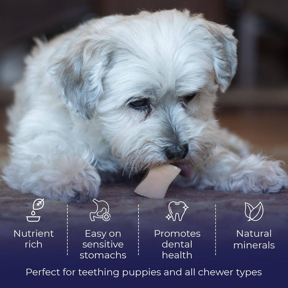 Devil Dog Pet Co Himalayan yak chews breath-fresh potential illustration conveys dental-friendly benefits