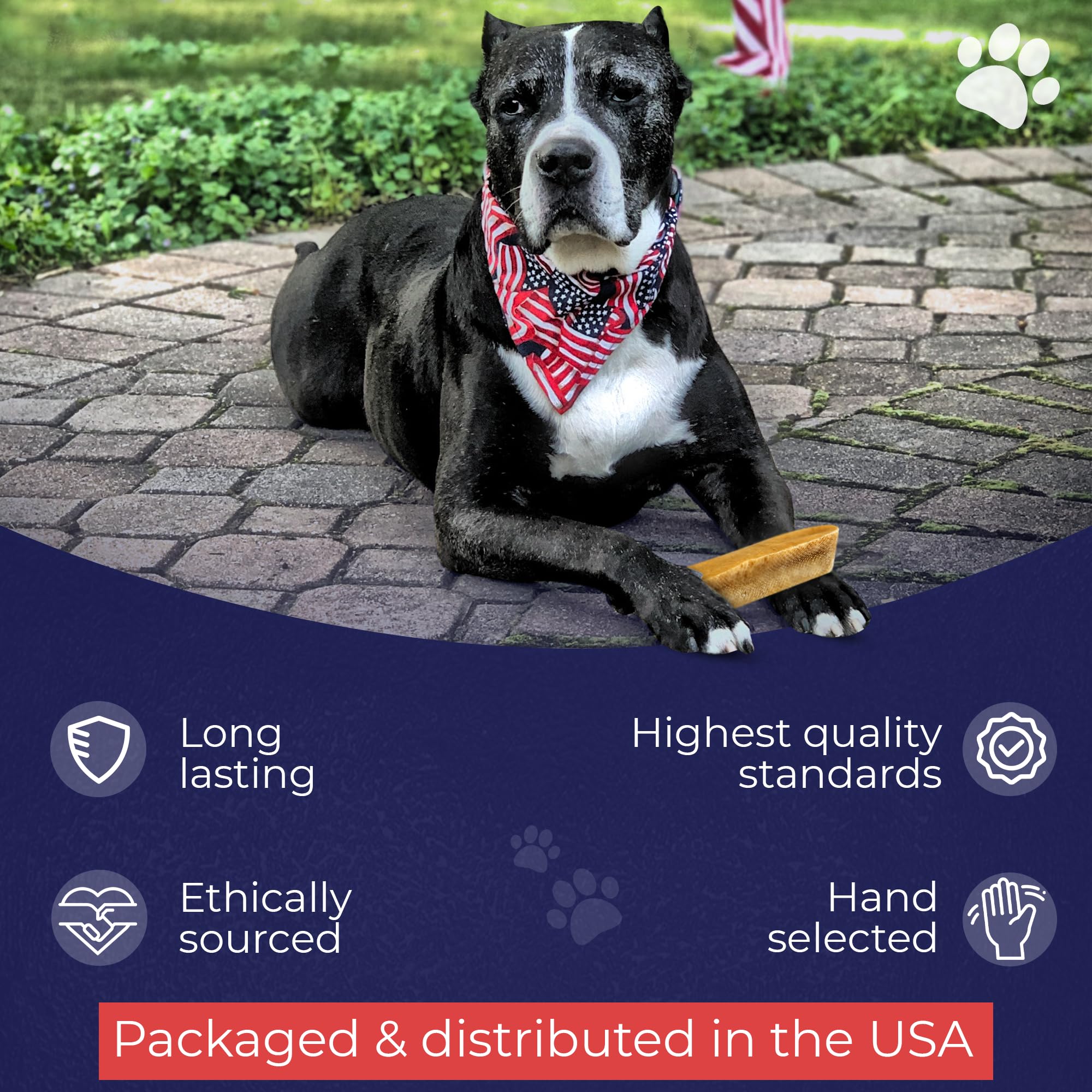 Devil Dog Pet Co yak chews dog chewing action demonstrates engagement