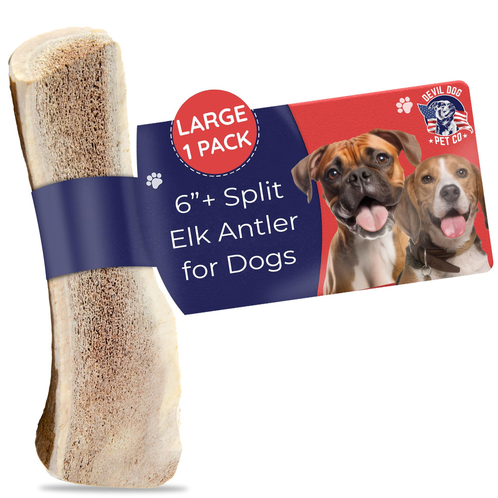 Devil Dog Split Elk Antler 6-inch—durable, long-lasting chew for large dogs