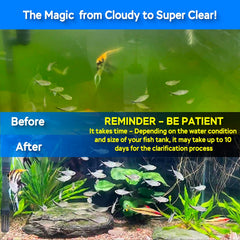 Devopet U-V light inside tank demonstrates potential for clearer water in home aquariums