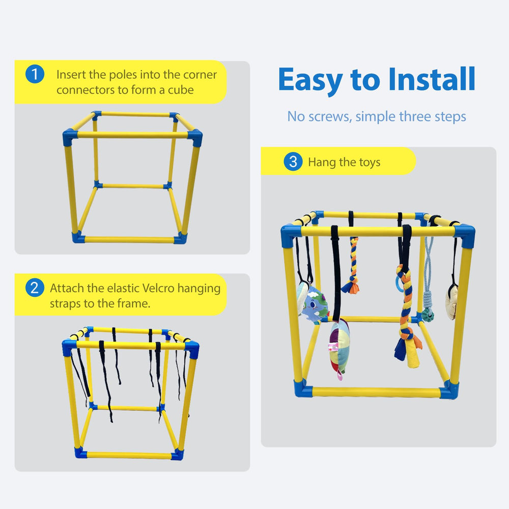 Dewonch indoor setup with sensory-rich toys for puppies.