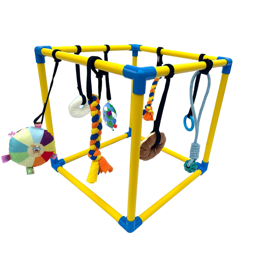 Dewonch Puppy Play Gym setup showing compact indoor enrichment for small dogs.