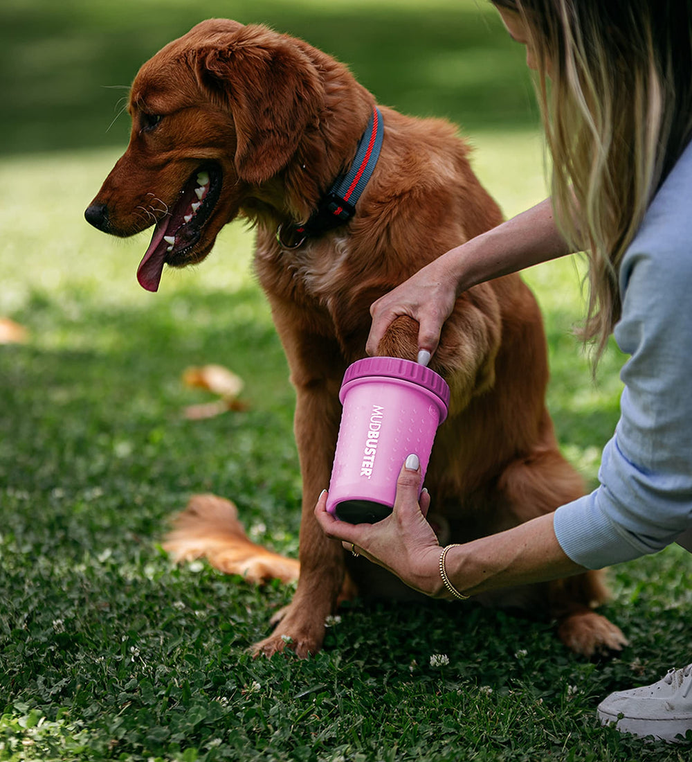 Dexas MudBuster BPA-free durable construction for safe paw cleaning