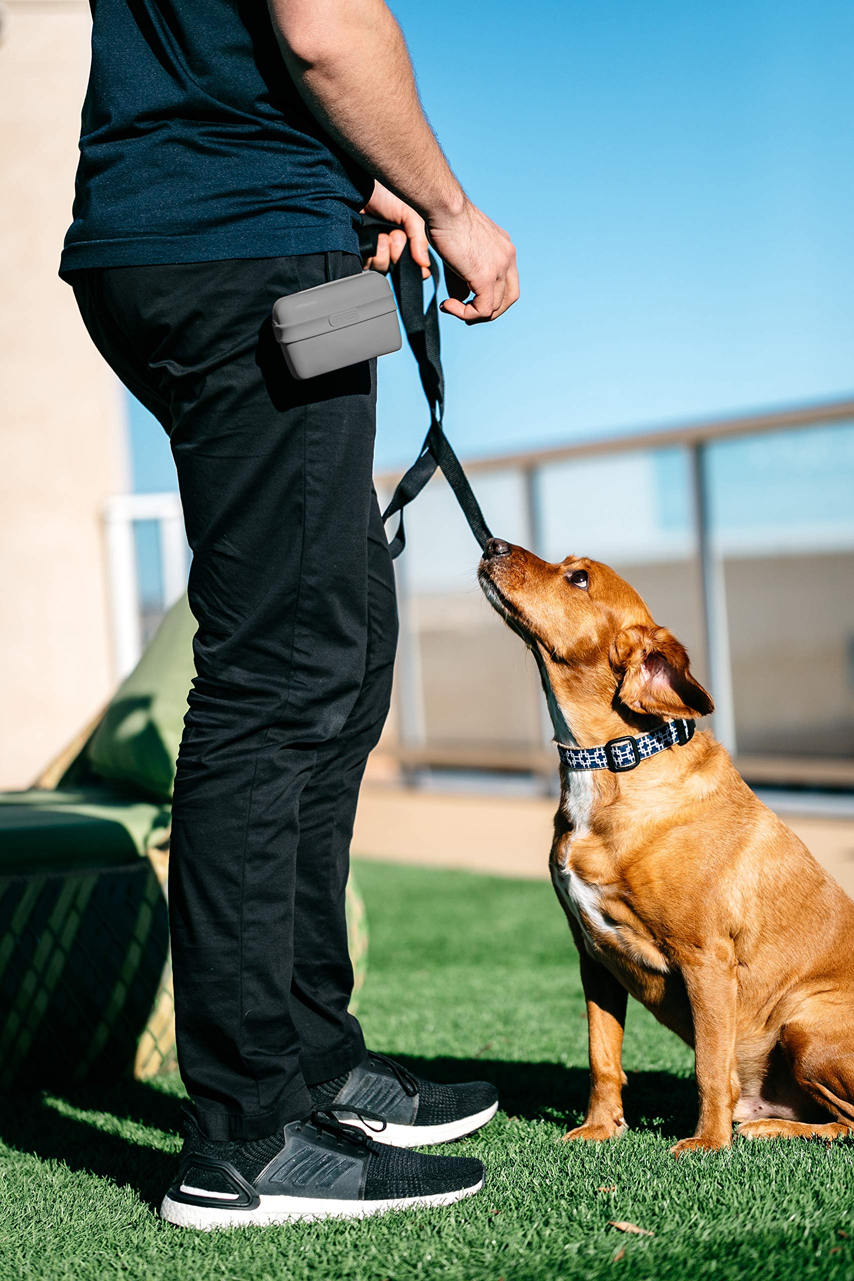 Dexas Pooch Pouch light-gray design blends with gear.
