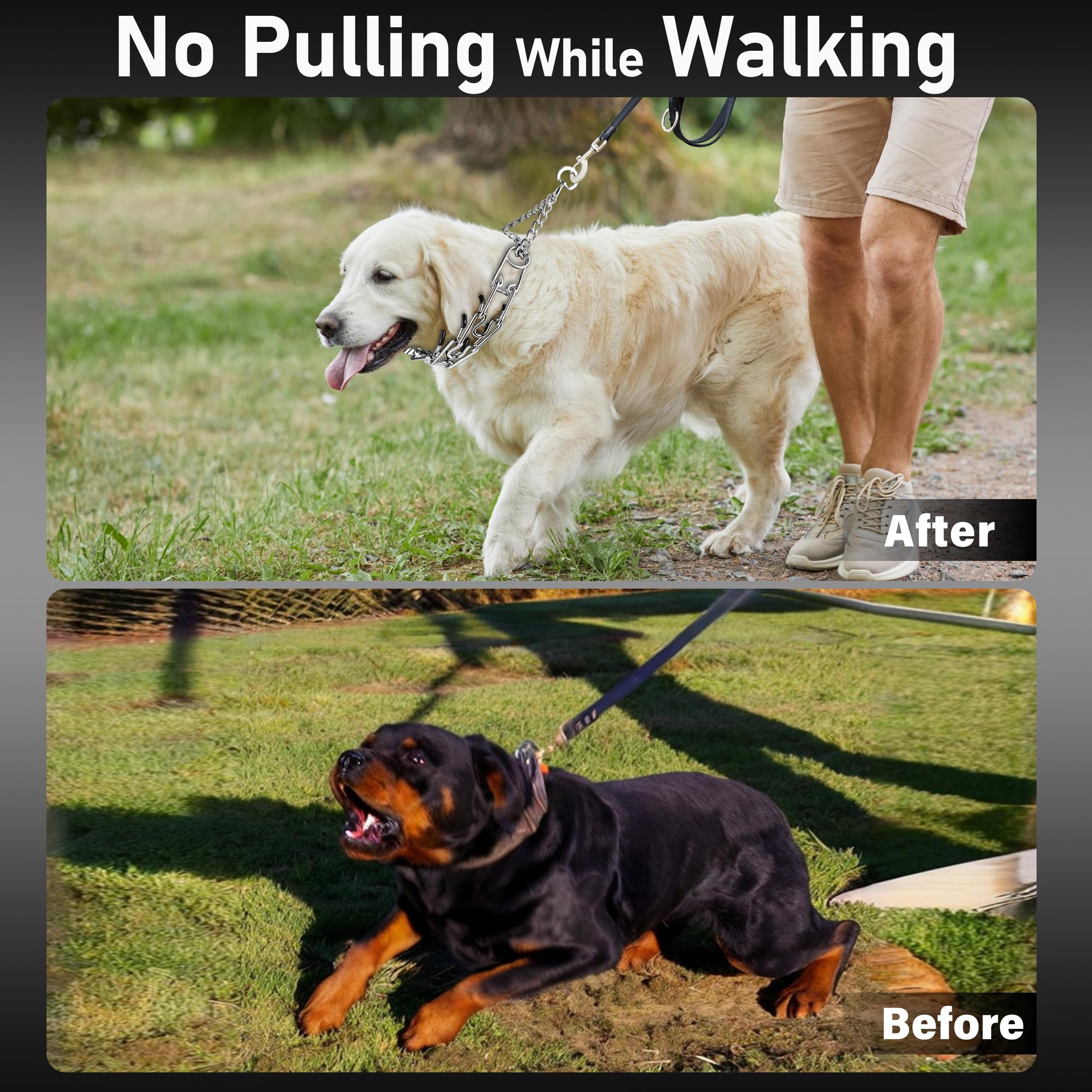 DEYACE all-size collar suitable for small to large breeds with comfortable fit.