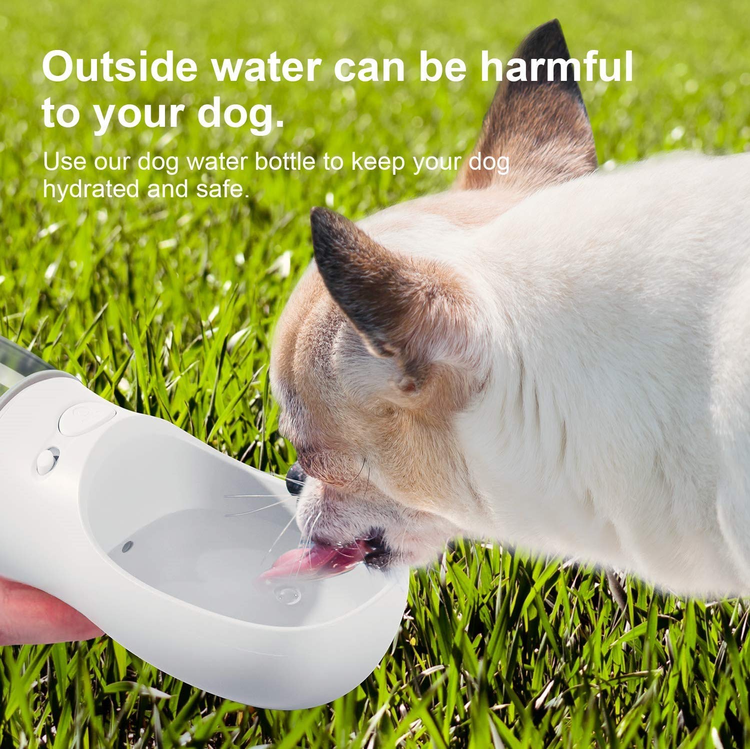 DEYACE puppy drinking feeder demonstrates convenient on-the-go hydration.