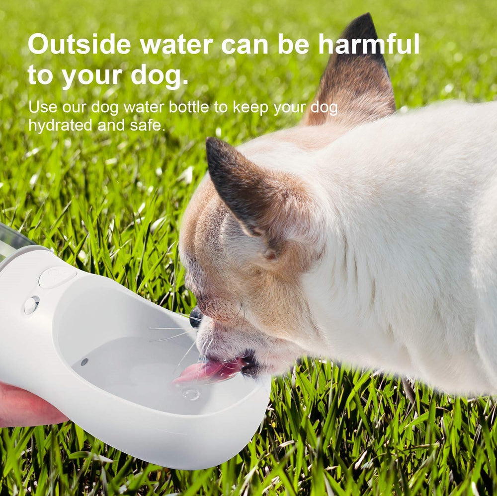 DEYACE puppy drinking feeder demonstrates convenient on-the-go hydration.