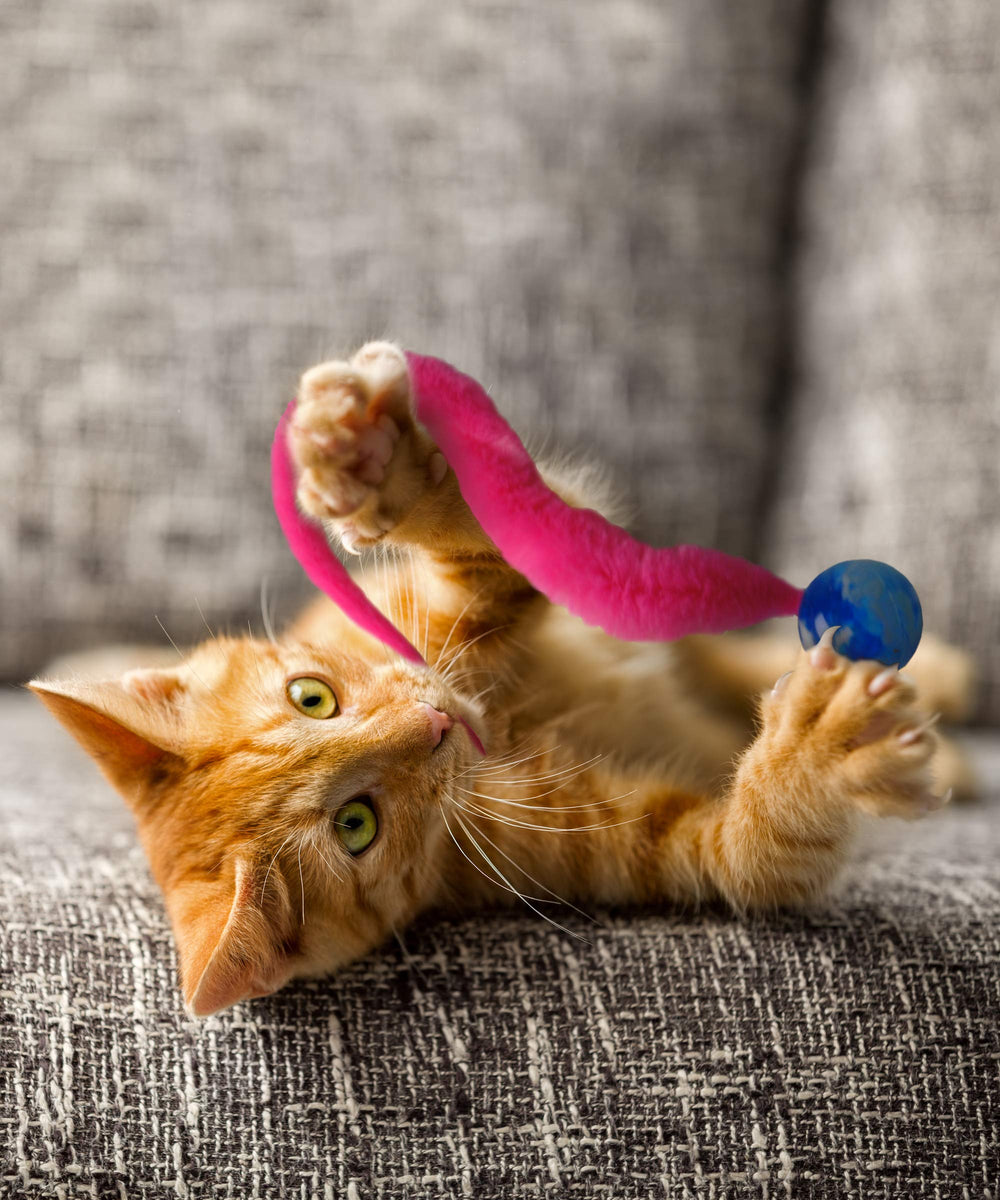 Dezi & Roo Wiggly Ball made in USA with safe poly-blend material.