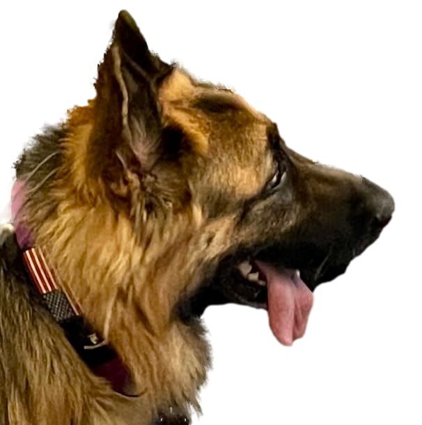 DEZIZEUSK9 name panel and patch for personalized identification.