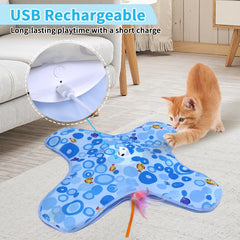 DFQ Interactive Cat Toy blue battery port supports long solo sessions.
