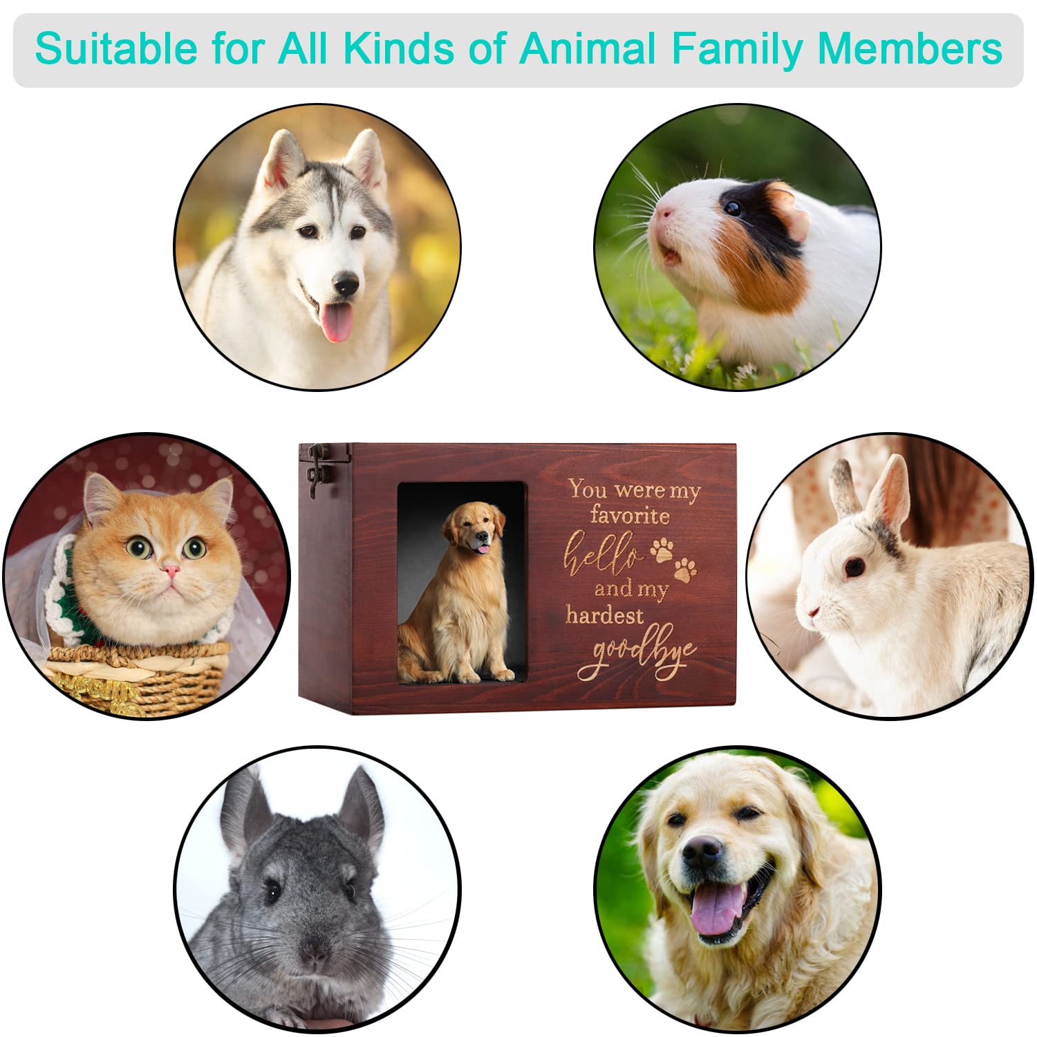 DGDCDV pet memorial urn dimensions showcased for medium to large pets.
