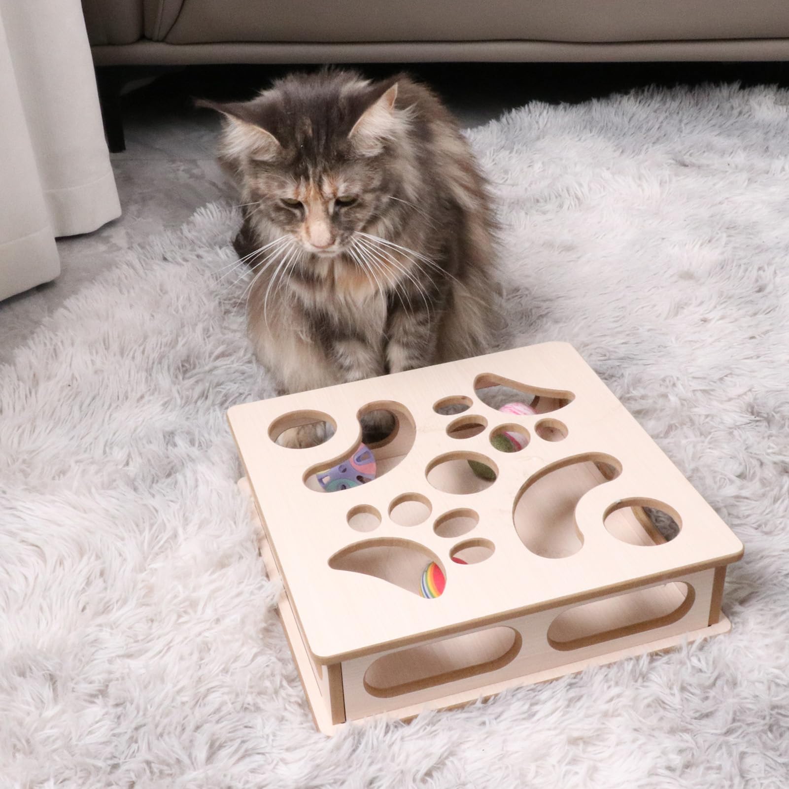 DI BI GRAMAS cat box puzzle indoor-use setup for everyday play sessions.