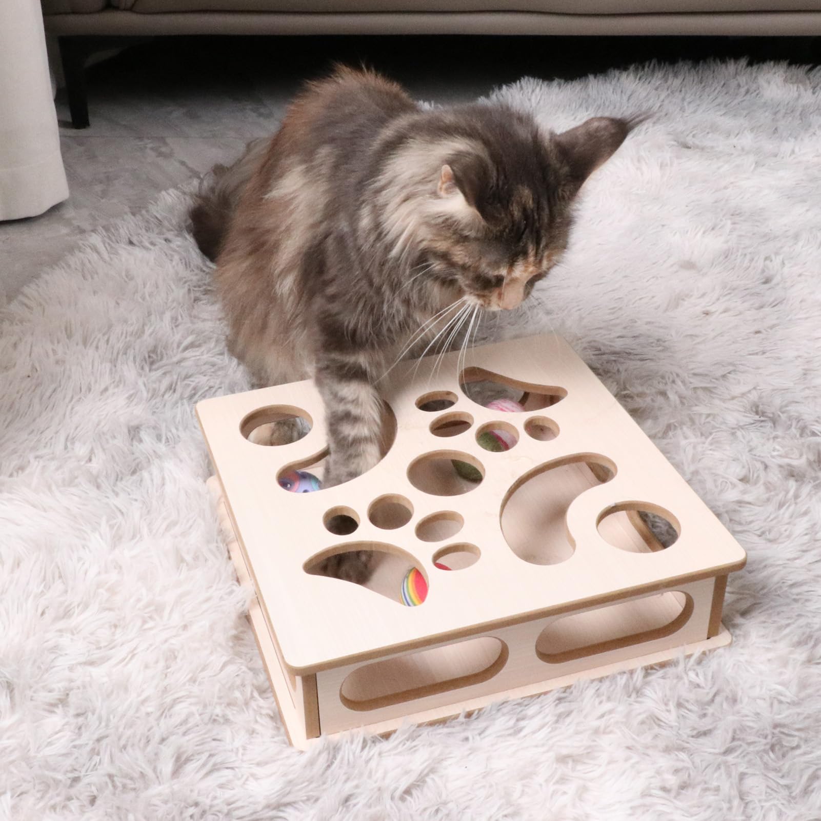 DI BI GRAMAS cat box puzzle kitten exploring the interactive play option.