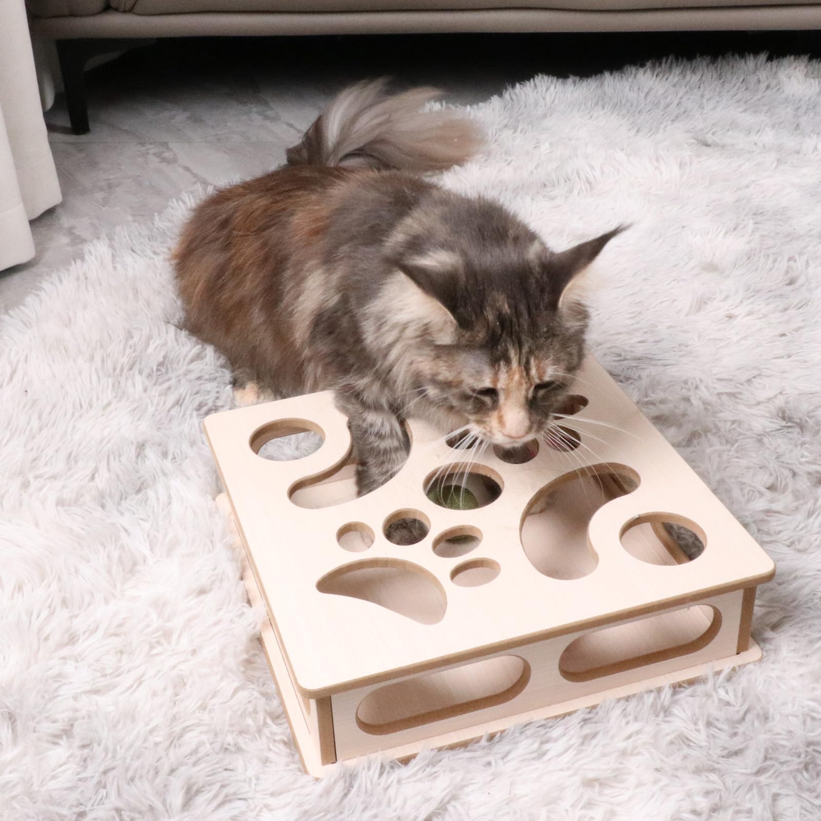 DI BI GRAMAS cat box puzzle no-assembly-needed and ready to use.
