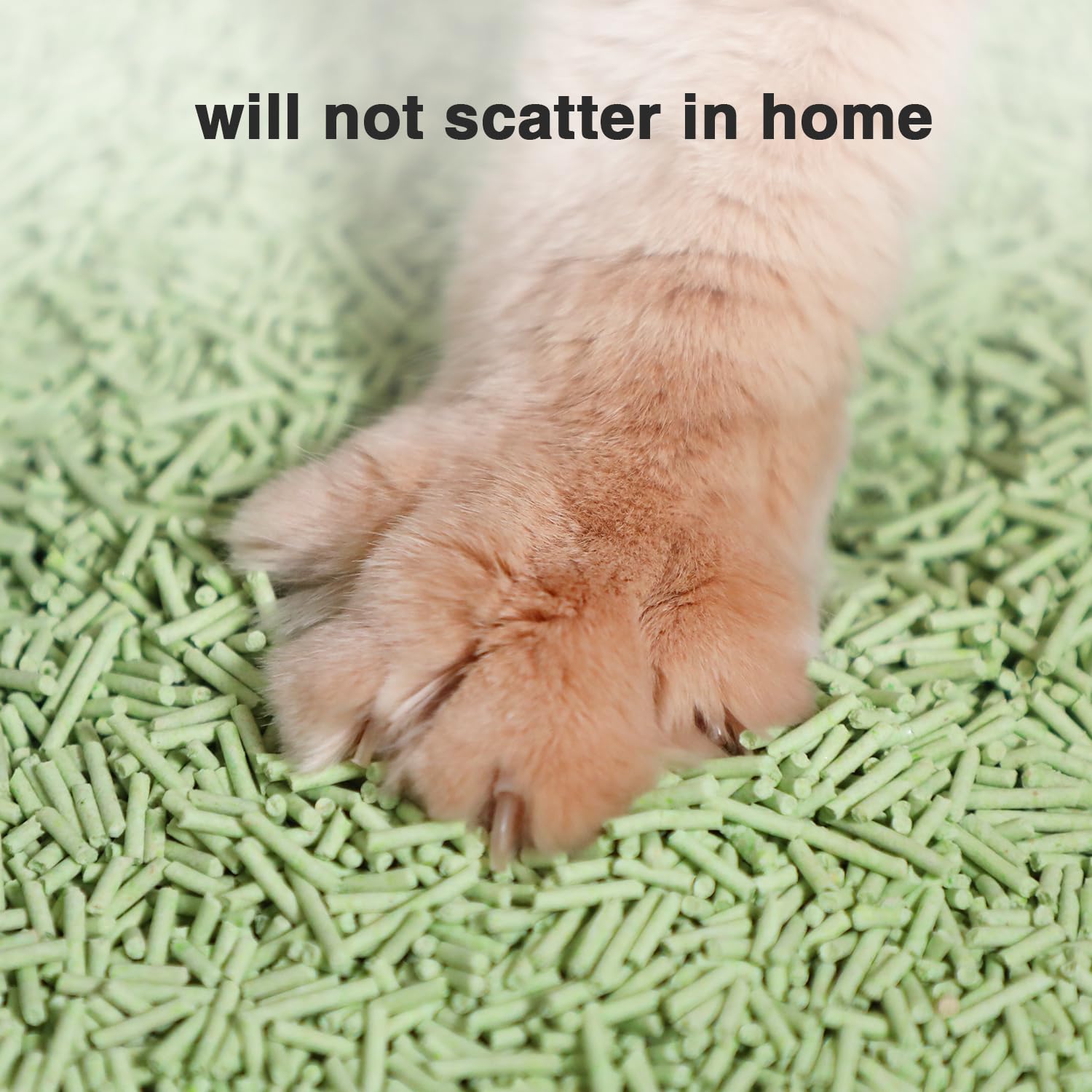 DI BI GRAMAS tofu litter long shape reduces scatter around floors and paws.