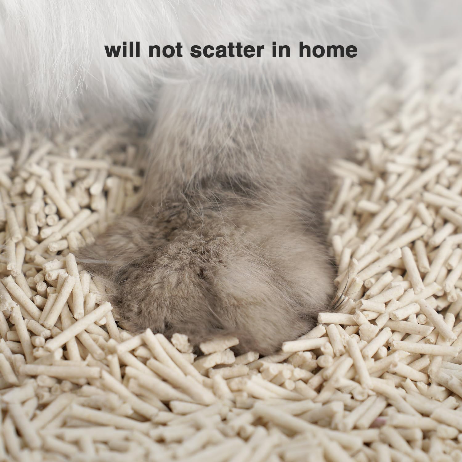 DI BI GRAMAS long-strip tofu litter reduces paw tracking