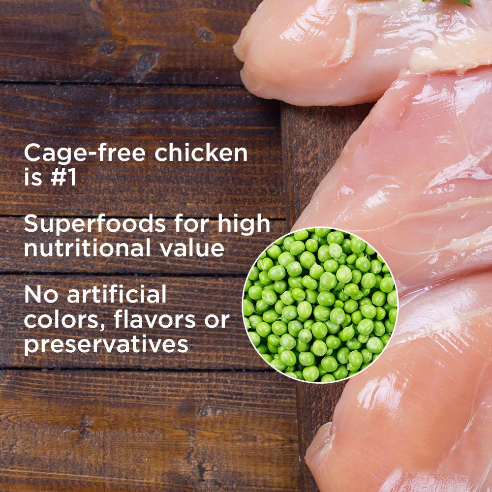 Diamond Naturals Chicken Dinner Can Dog digestive fiber closeup highlights prebiotic benefits