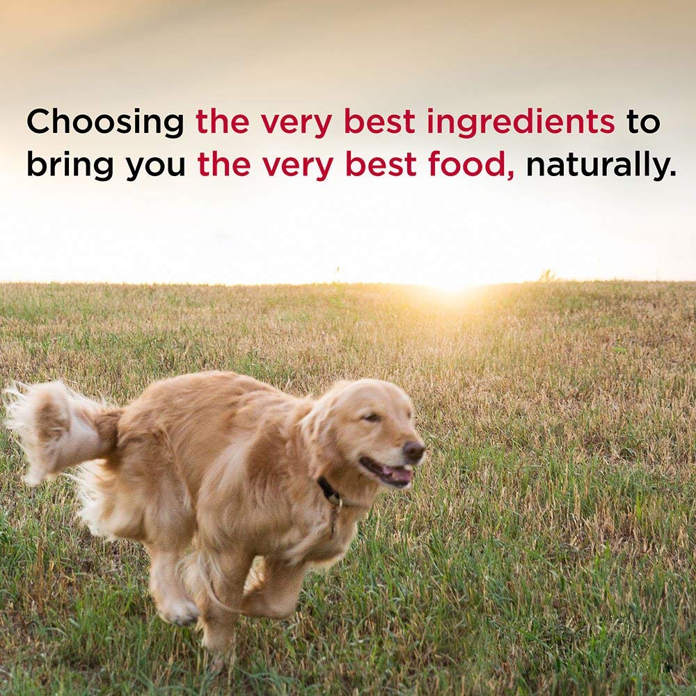 Diamond Naturals Chicken Dinner Can Dog ingredient closeup showcases cranberries and pumpkin