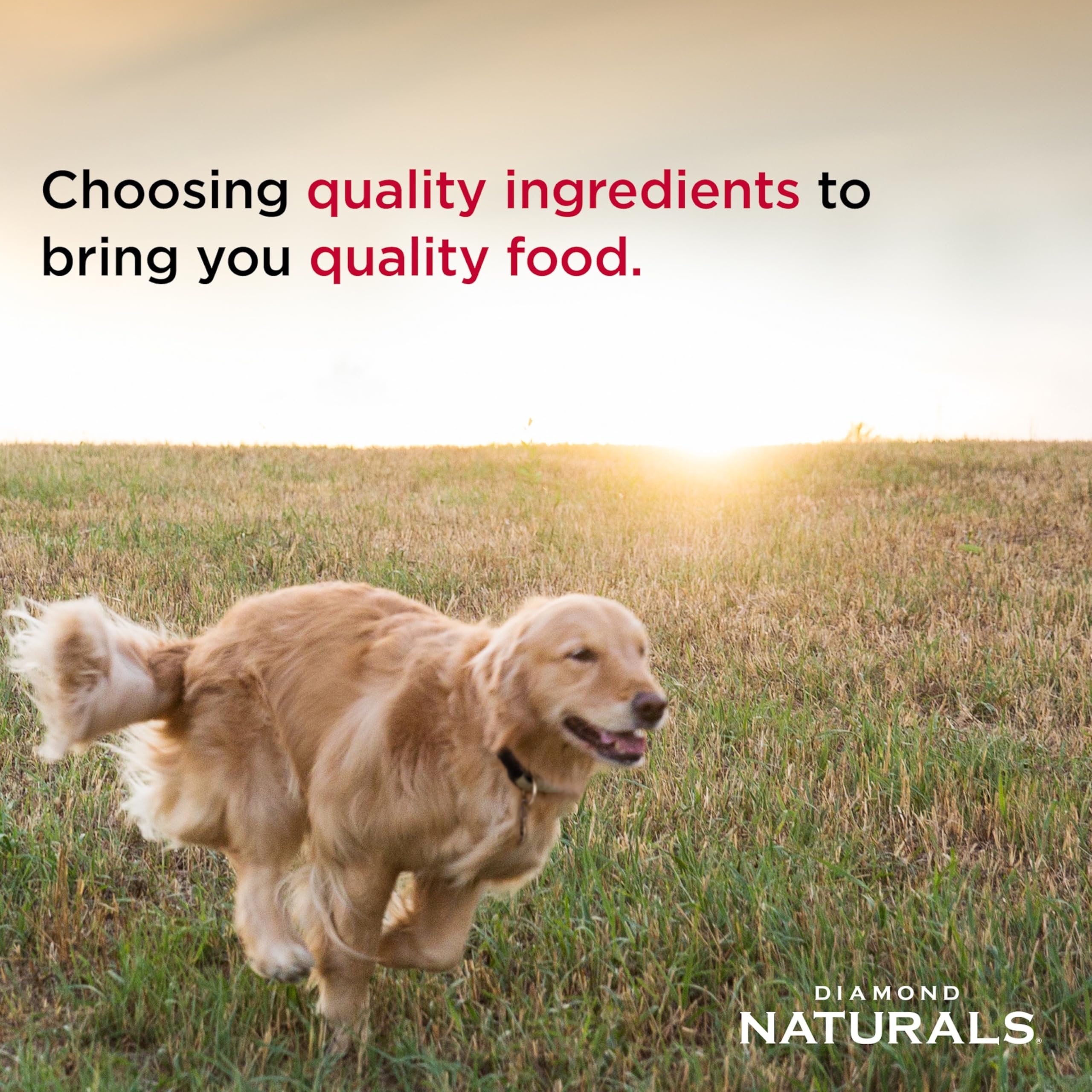 Diamond Naturals probiotics aid digestion and gut balance.