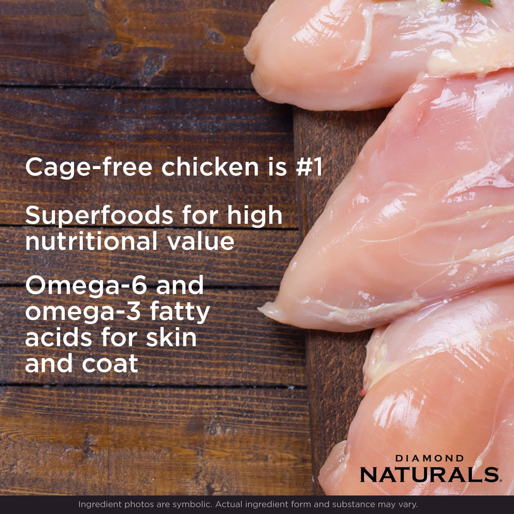 Diamond Naturals superfoods like blueberries provide antioxidants for healthy skin and coat.