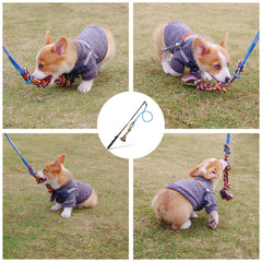 DIBBATU Flirt Pole rope length 12in highlights rapid bursts and tug interactions