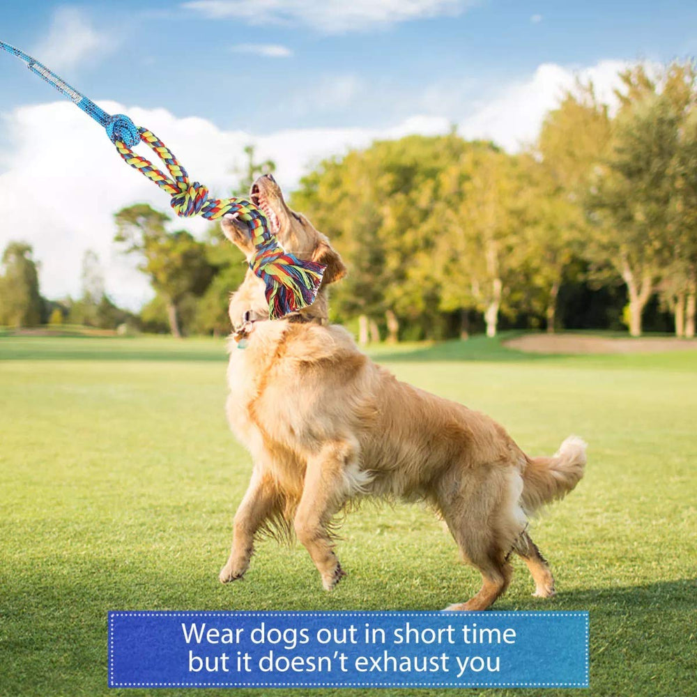 DIBBATU Flirt Pole swivel eye snap hook enables smooth rotation during excitement