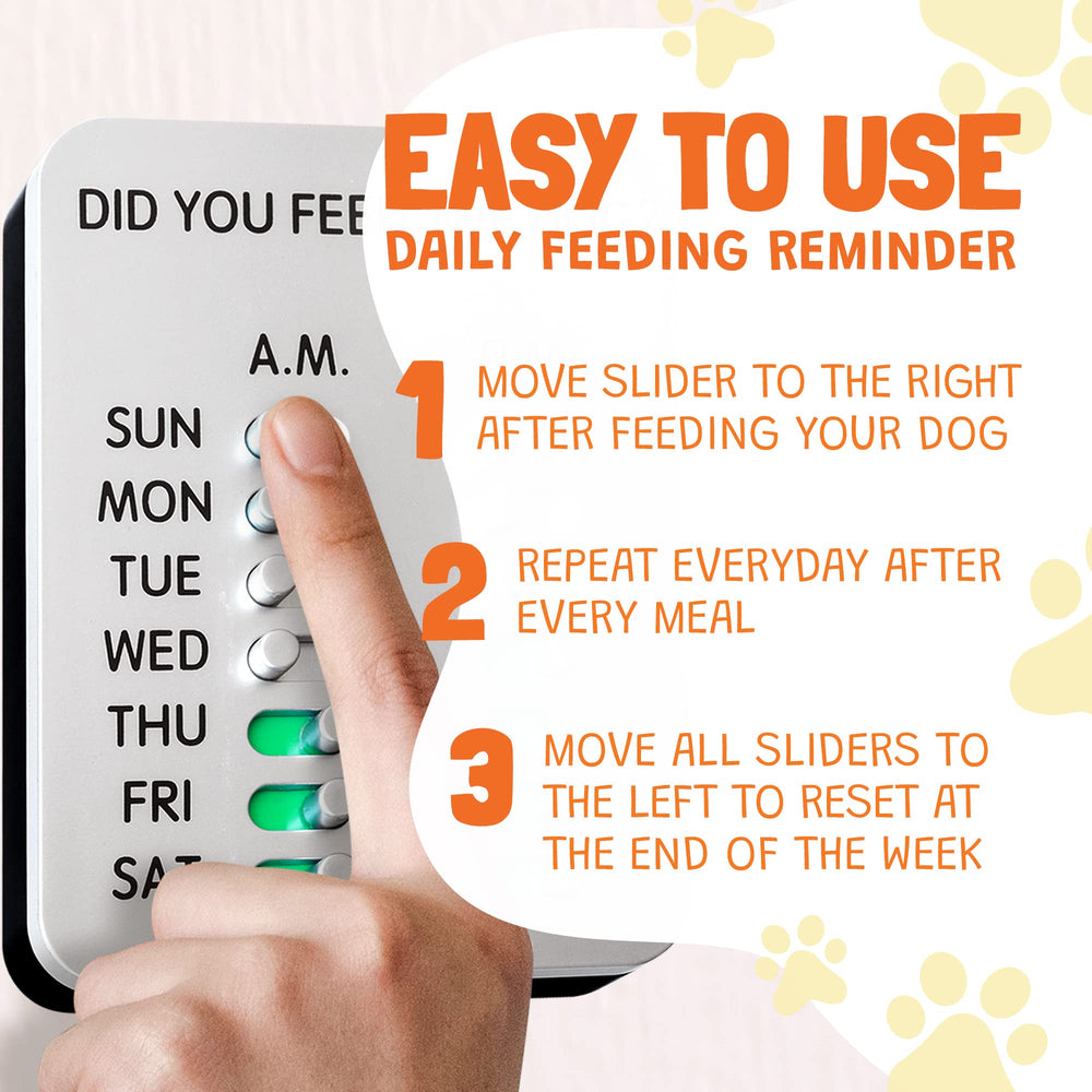 DID YOU FEED THE DOG? DYFTD compact reminder supports family pet care.