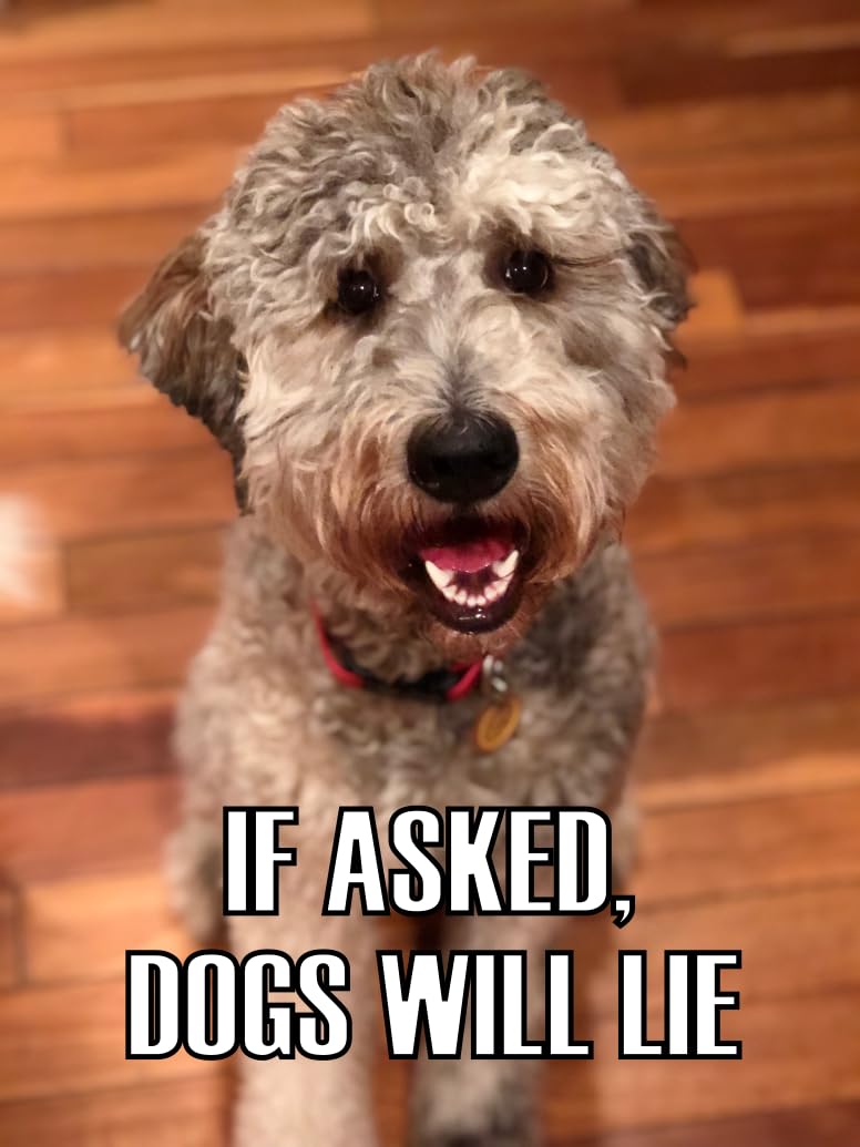 DID YOU FEED THE DOG? DYFTD slider-goal-tracker marks fed meals for routine.