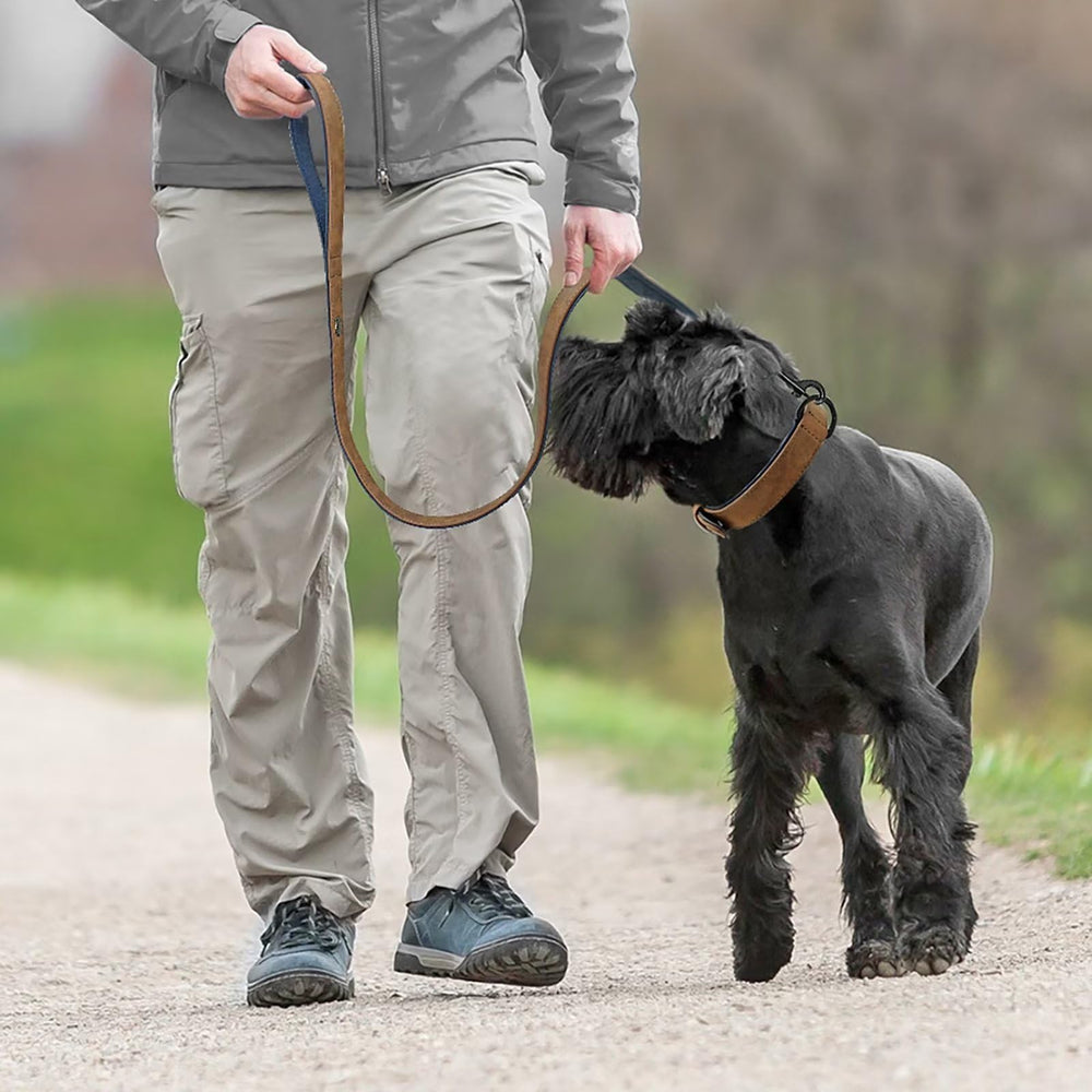 Didog 4ft leather dog leash with rotating clip for easy control