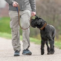 Didog 4ft leather dog leash with rotating clip for easy control