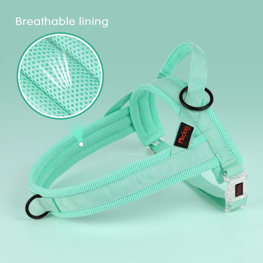 Didog Breathable mesh padding keeps your dog cool during activity