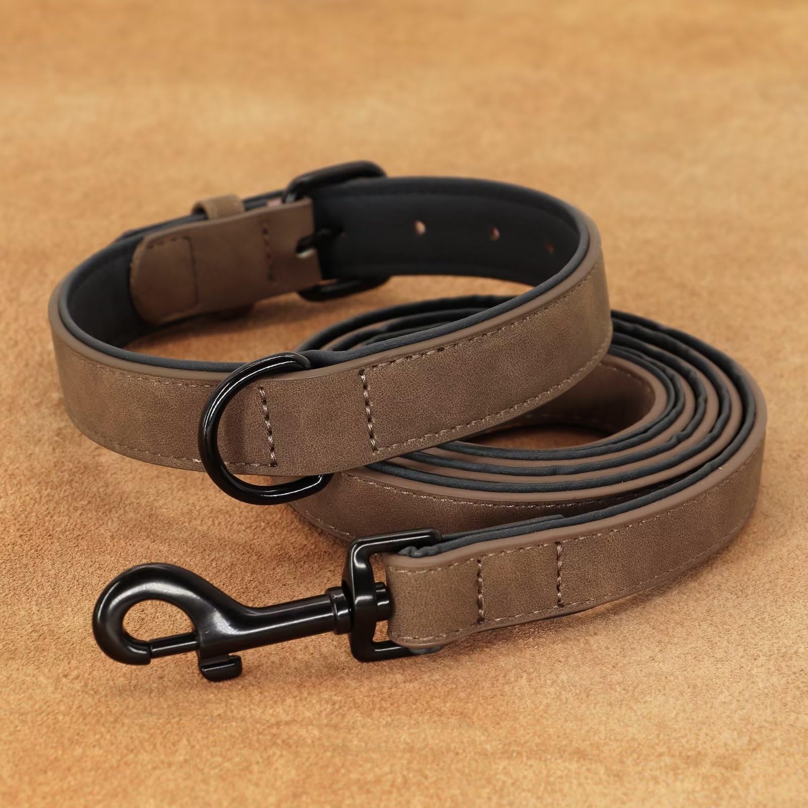 Didog daily walking outdoors with durable leather leash and collar