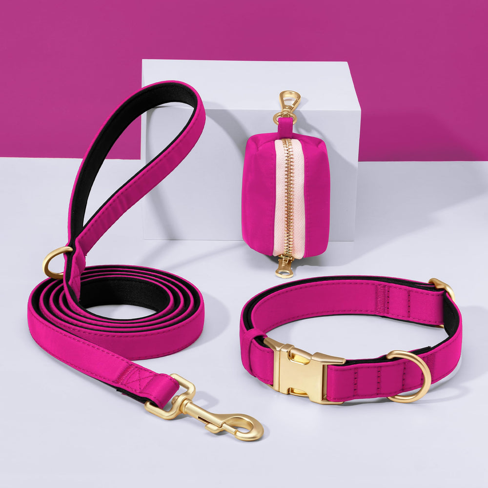 Didog durable collar performs well in varied weather for daily use