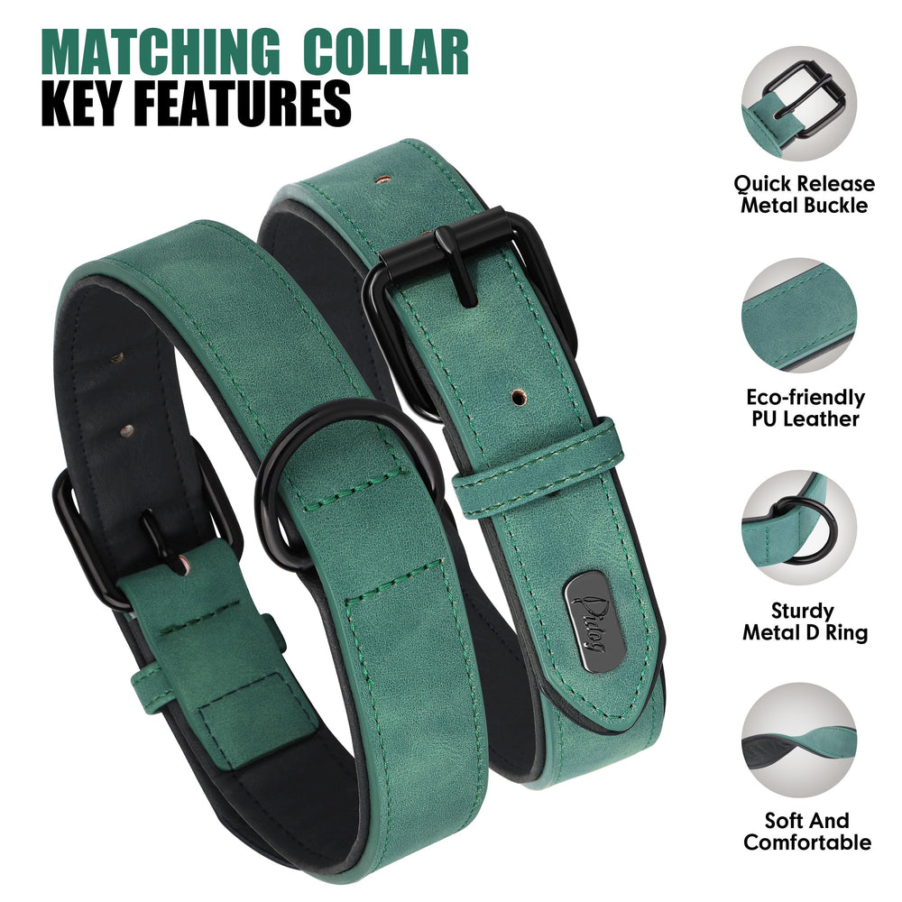 Didog durable metal buckle five-hole collar side view suggests sturdy fit.
