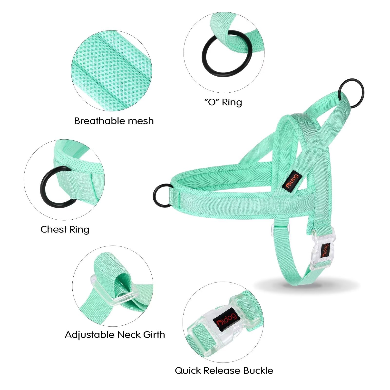 Didog Green harness on dog offers bright sporty look