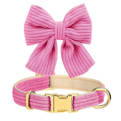 Didog leash with pink bowtie, 5-foot length for daily outings.