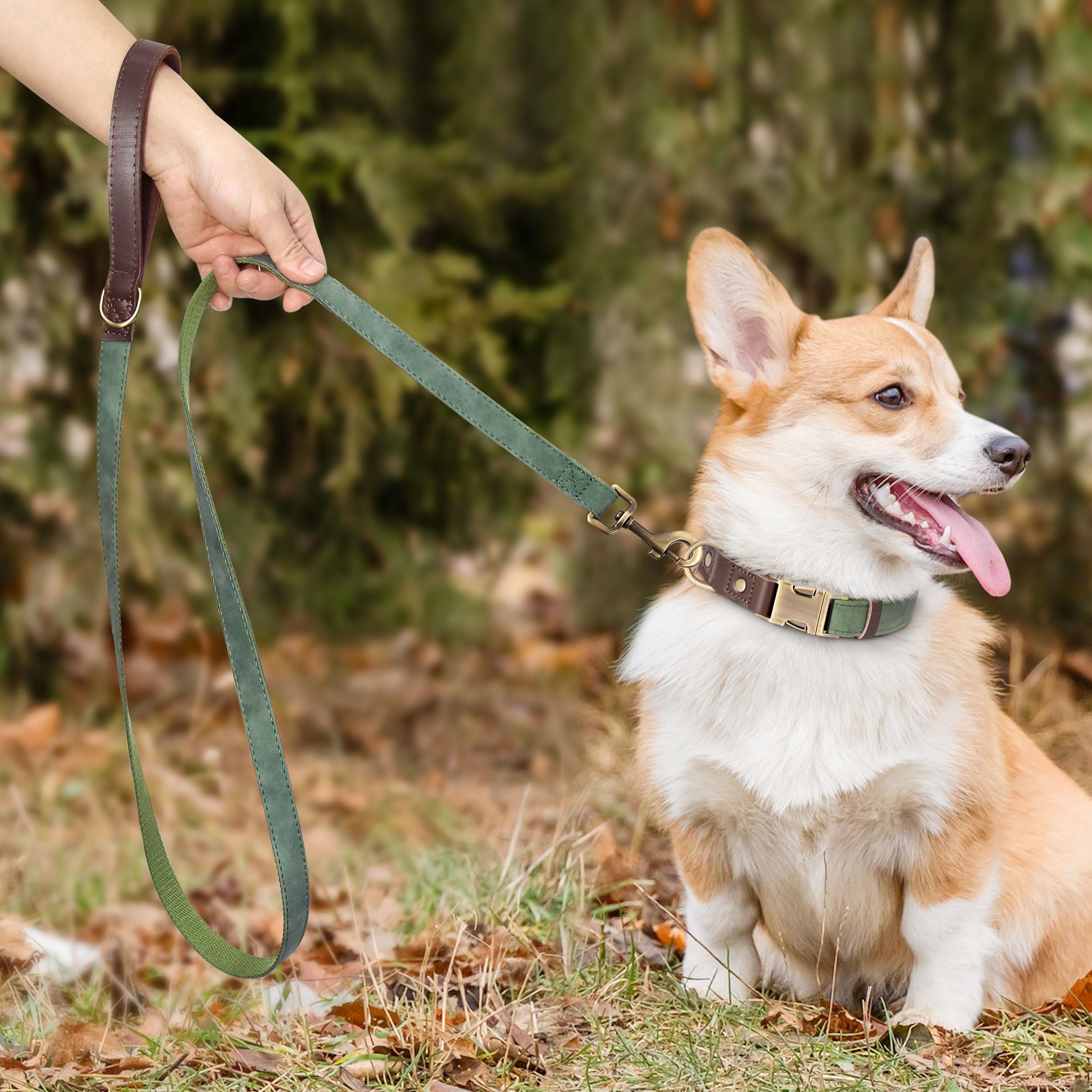 Didog PU Leather Leash features a D-ring for easy poop bag or accessory attachment.