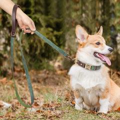 Didog PU Leather Leash features a D-ring for easy poop bag or accessory attachment.