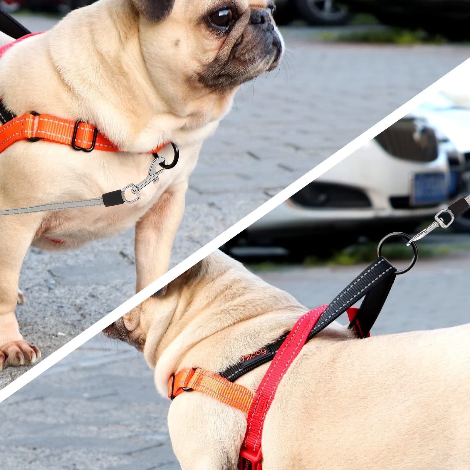 Didog lightweight quick-fit buckle red for easy on-off