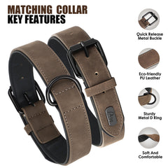 Didog metal buckle adjustable collar for secure fit